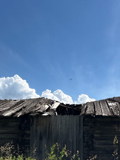 This is a photograph taken in Дресвяново, Russia, on a sunny day. The image is oriented vertically and shows a clear blue sky with scattered white clouds. In the distance, a small dark bird is captured mid-flight against the bright sky.

Dominating the right side of the frame is the weathered facade of an old wooden structure, possibly a barn or shed. The wood is dark and appears aged, with visible planks and beams. Some sections of the structure seem to be decaying or damaged, with pieces of wood missing or dislodged, suggesting a state of disrepair. The upper edge of the structure is ragged and uneven, giving it a sense of history and abandonment.

To the right of the wooden structure, some green foliage, likely grass or weeds, is visible, adding a touch of nature to the scene. The sunlight creates a contrast between the bright sky and the darker, textured wood. The overall impression is one of a rural landscape, with a focus on the interplay between the natural elements and the remnants of human construction. The time of day appears to be daytime, given the bright sunlight and blue sky. No people or visible text are present in the image.