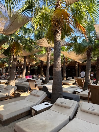 The image depicts a sun-drenched beach setting in Thassos, Greece, characterized by numerous palm trees providing shade over rows of empty lounge chairs arranged on sandy ground. The chairs are mostly a light, neutral color with some darker grey cushions. Several chairs have small, wooden side tables, some of which contain ashtrays with holes. One side table has a small sign with "A-124" on it. The overhead canopy is made of a beige, mesh-like fabric, stretched between the palm trees. In the background, a few people are visible, some seated on lounge chairs and others standing. One man in a white shirt and black shorts is walking away from the camera, and a woman in a white bikini is seen in the distance. The overall impression is of a tranquil, upscale beach resort or club.