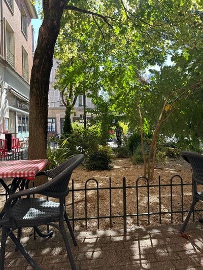 The image displays an unoccupied outdoor cafe area adjacent to a public garden in Orléans, France, under direct sunlight.
In the foreground, a square table with a red and white checkered tablecloth is positioned on light gray paving stones. An empty dark gray wicker-style chair with metal legs is placed at this table. Part of a second matching chair is visible to the right. A low, black metal fence, composed of vertical bars with looped tops, delineates the paved area from a garden.
The midground features a garden bed filled with small, light-colored gravel. Various green plants and small trees grow within this bed. A prominent tree trunk rises from the left side of the paved area, its foliage extending into the upper left portion of the frame.
In the background, on the left, a multi-story building with a reddish-brown brick facade on its upper levels and large ground-floor windows is visible. Red chairs or stools are partially observed near this building. To the right, a lighter-colored building with multiple windows, some featuring closed light-colored louvered shutters, is present. Through the foliage in the deeper background, a single individual wearing a dark plaid shirt is observed walking from left to right. Dappled sunlight filters through the tree canopies, casting distinct shadows on the paved ground.