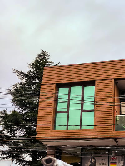 A medium shot captures the exterior of a modern, multi-story building with a wooden facade, featuring a large, teal-tinted window. The building is situated in the city of Charnali, Georgia. A mature evergreen tree, its branches dark and dense, is visible to the left of the building, partially obscuring the sky. Numerous black electrical wires crisscross the foreground, strung haphazardly between unseen poles, adding a sense of urban clutter. The sky is overcast, with a diffused, pale light illuminating the scene. At the bottom of the frame, a portion of a building sign is visible, displaying text in what appears to be Georgian script, along with the words "MANGO" and "BOSS", and the flags of the United Kingdom and Germany. The overall impression is one of a typical urban streetscape in Georgia, characterized by a blend of modern architecture, natural elements, and essential utility infrastructure.