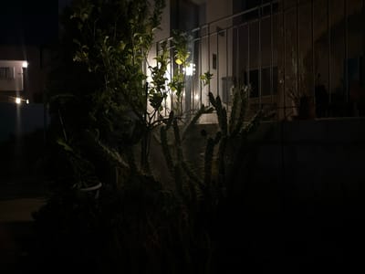 The image captures a nighttime scene in Peyia, Cyprus, focusing on a front yard or garden area adjacent to a building. In the foreground, a thorny succulent plant, possibly a euphorbia species, dominates the lower right quadrant. Its spiky, branching stems are illuminated by an unseen light source, casting shadows. To the left of the succulent, a leafy green tree or shrub is visible, its branches and foliage also lit from behind.
Behind the plants, a white building with a balcony and a metal railing is present. The railing is composed of vertical bars. Lights are visible on the building's exterior, and reflected light from within the building can be seen through windows. String lights are also visible on the left side of the image, hanging from an unseen structure, contributing to the ambient illumination. The overall environment appears to be residential, with a sense of outdoor space in front of a dwelling. The darkness of the night is profound, with the lighting creating pockets of visibility within the scene. No people or animals are visible in the image.