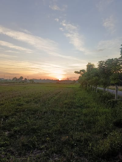 The image captures a rural scene near Sumbokrayek, Indonesia, at sunrise or sunset. A vast field of tall green grass dominates the foreground, gradually transitioning into a cultivated field with hints of standing water in the distance. A row of trees lines the right side of the image, running parallel to a narrow paved road. In the background, the sun is positioned on the horizon, creating a vibrant orange glow in the sky, which fades into a lighter blue with thin clouds above. Utility poles and power lines are visible cutting across the sky above the distant field. The scene appears peaceful and uninhabited.