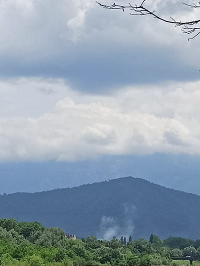The image shows a vertical view of a mountainous landscape with a blue sky and lush green trees. A dark, bare tree branch extends from the left side of the frame, framing the sky. In the background, a large, dark blue mountain rises, its slopes partially obscured by faint white clouds. To the right of the mountain, a dense forest of green trees borders the lower edge of the frame. The sky is a mix of light blue and white, with some areas appearing overcast. The overall impression is of a natural, serene landscape, possibly captured during the day under a partly cloudy sky. There is no visible text or activity taking place in the image. The location context is Vladikavkaz, Russia.