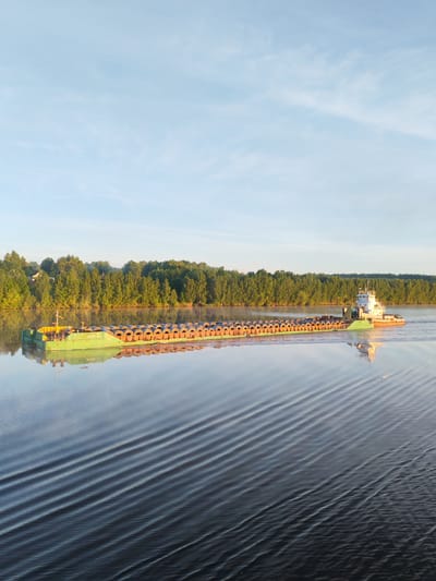 An overhead perspective captures a tugboat pushing a long barge laden with coiled materials on a calm river in the city of Kabanovo, Russia. The sky above is a pale blue with minimal, wispy cloud cover. The far bank of the river is densely forested with green deciduous trees, exhibiting a clear treeline that suggests a landmass or island. The water surface is largely placid, displaying clear reflections of both the sky and the forested bank.
The barge, painted predominantly green with a yellow deck structure near its front, occupies the middle ground. It carries numerous large, orange-brown coils, uniformly arranged along its entire visible length. The number "2026" is visible in white on the side of the barge, and its inverted reflection, "2056", is clearly discernible in the water below.
The tugboat, positioned at the stern of the barge, is white with an orange-brown hull section and upper details. It features a multi-level superstructure with windows and a mast. The tugboat is actively propelling the barge, indicated by the distinct, diagonal ripples and wake extending from its stern towards the lower right portion of the frame. These ripples disrupt the water's surface, creating a pattern of dark and light bands. The scene is illuminated by soft, natural light, highlighting the vessels and the water's texture. No individuals are visibly present on either the vessels or the surrounding land.