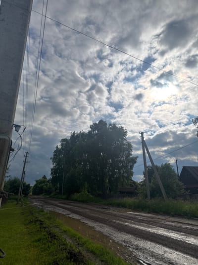 A rural dirt road winds through a vegetated area, likely in or near Borodulino, Russia. The road is wet and muddy, with puddles reflecting the overcast sky. On the left side of the road, a utility pole stands tall, supporting electrical wires that stretch across the frame. To the right, a dense line of trees borders the road, with glimpses of houses and structures peeking through the foliage in the distance. The sky above is dramatic, filled with a mix of dark, heavy clouds and brighter patches where the sun attempts to break through. The overall scene suggests a post-rain or damp atmosphere in a village setting. There are no people or animals visible in the image.