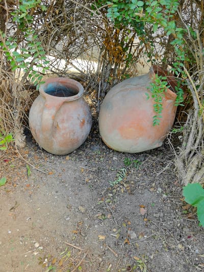 Two large, aged, terra-cotta pots rest on the dry, sandy ground. They are partially obscured by dry, thorny branches and some green foliage. The pot on the left is upright with a wide opening, and the pot on the right is lying on its side, with its opening facing upwards and slightly to the left. Both pots have a weathered appearance, suggesting they have been exposed to the elements for a considerable time. The ground beneath them is covered with dirt, scattered leaves, and small twigs. The overall environment appears to be outdoors, possibly in a garden or a neglected area. No people or animals are visible in the image. The lighting suggests it is daytime, with some shadows present.