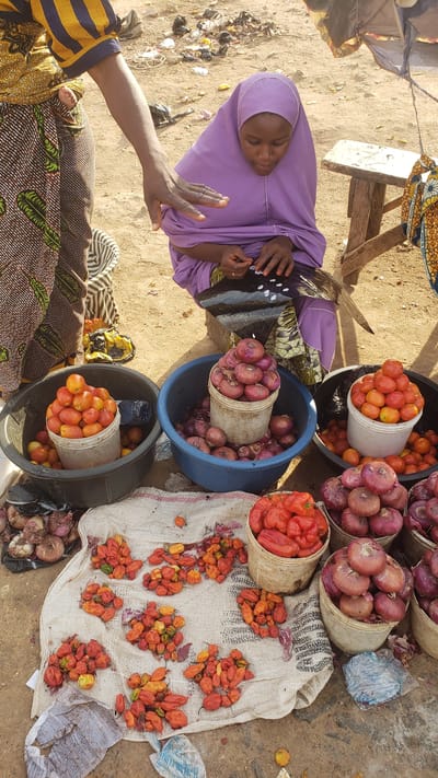 The image depicts a market scene in Kawo, Nigeria. A woman wearing a lilac hijab sits beside buckets and displays of produce. The produce consists of tomatoes, onions, and habanero peppers. Some peppers are laid out on a cloth. A man's hand reaches into the frame from the left. The ground is sandy.