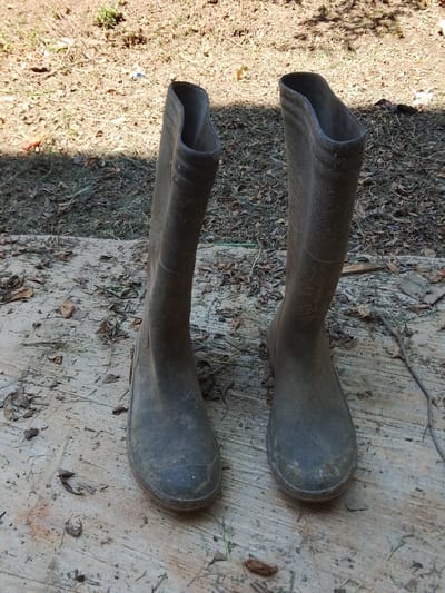 Two dark, knee-high rubber boots are positioned upright on a weathered wooden surface. The boots appear to be worn and dirty, with visible scuff marks and dirt accumulation. They are placed side-by-side, facing forward, with the left boot slightly angled towards the viewer and the right boot positioned more directly in front. The background consists of dry, uneven ground covered with scattered leaves and sparse vegetation, suggesting an outdoor, possibly rural or park-like environment. The lighting indicates a daytime scene, with dappled sunlight casting shadows. The image does not contain any individuals or explicit actions taking place. The overall impression is one of discarded or stored footwear in a natural, somewhat unkempt setting.