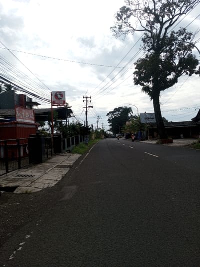 A wide-angle exterior view captures a street scene in Domphoog_Dungkarchhoeling, Bhutan, under an overcast sky. The dark asphalt road occupies the central and lower right portions of the frame, showing a faint white broken line marking the left lane edge. On the immediate left, a concrete sidewalk is present, featuring a rectangular drain grate. A low black metal fence separates the sidewalk from an adjacent property. Directly behind this fence, a red rectangular structure is visible, followed by a prominent white sign with red lettering that reads "CHICAGO," topped by a black and white circular logo depicting a stylized head wearing a hat.
Overhead, a dense network of black electrical and communication wires spans the upper portion of the image, attached to multiple utility poles, one of which is clearly visible mid-frame on the left side, featuring multiple cross-arms. Buildings with dark roofs and abundant green foliage line both sides of the street. On the right side of the road, a large, mature tree with a dark trunk and dense green leaves stands prominently. Further down the road, which gently curves to the right, two individuals are observed operating motorcycles, receding into the distance. One motorcycle appears red, the other darker. Additional buildings and trees are present in the background, further along the street. The sky is dominated by diffuse white and gray clouds.
