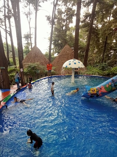 The image displays an outdoor swimming pool area, identified as being in Kuwukan, Indonesia. The environment is characterized by numerous tall, slender trees with dark trunks and green foliage, suggesting a forested or natural setting.

A large, irregularly shaped swimming pool, filled with clear blue water, dominates the foreground and midground. Within the pool, approximately ten individuals, primarily children, are engaged in various activities: wading, standing, floating, and swimming. In the immediate foreground, a child in dark swimwear kneels in the shallow water.

A white, mushroom-shaped water fountain with blue polka dots is centrally positioned in the pool, actively spraying water. To the right, a blue inflatable object, possibly a small slide or raft, featuring cartoon characters (SpongeBob SquarePants and Patrick Star), is partially submerged at the pool's edge.

Beyond the pool, two distinct conical structures with brown, thatched roofs are visible. On the paved edge of the pool, a male adult wearing an orange shirt and shorts stands, observing the activity. Another adult figure, wearing a blue top, is partially visible near a tree on the left side of the paved area surrounding the pool. The paving features segments of blue, green, and red. The scene is illuminated by natural light, indicating daytime.