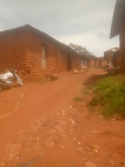The image depicts a rural street scene in Mayo Ndaga, Nigeria, with traditional mud-brick houses lining a dirt road. A white motorcycle is parked on the left side of the road, in front of one of the houses. The houses are constructed from reddish-brown mud, with thatched or corrugated metal roofs. Some houses have doorways and windows visible. The road is also made of reddish-brown dirt, and there are patches of green grass growing along the side of the road and on a slight incline to the right. The sky is overcast, suggesting a cloudy day. The overall impression is one of a simple, rustic village environment. There are no visible people actively engaged in any activity, though a figure in the distance may be seated outside one of the houses. The scene appears to be quiet and ordinary, with no specific event taking place. The time of day is not clearly indicated, but the overcast sky suggests it could be daytime.