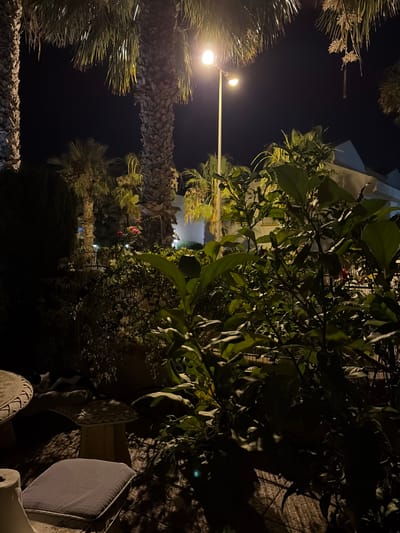 The image depicts a nighttime scene in a garden area, likely a courtyard or patio. Dominating the foreground are dark green leafy plants, with a prominent palm tree trunk to the left and others visible in the background. A streetlamp with two lights illuminates the scene, casting long shadows.
To the left of the image, a light-colored, textured round table and a cushioned stool are visible. Behind them, a darker, cushioned object, possibly another seat or cushion, is present.
In the midground, behind the foliage, a building with white walls and angled rooflines is partially visible, suggesting a residential or hospitality setting. A thin, vertical fence or barrier is also present.
A cluster of red roses can be seen among the greenery in the midground. The overall impression is of a warm-climate garden at night, possibly in a Mediterranean region, given the palm trees. While the specific location within Orihuela, Spain, cannot be determined from the image alone, the presence of palm trees and the architectural style of the building are consistent with the region. No people are visible in the image.