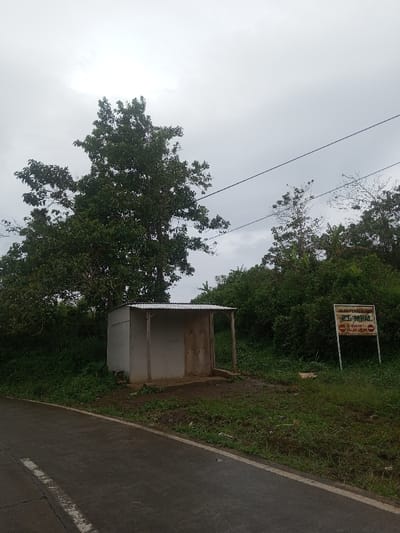 The scene depicts a rural roadside in Babaliya Mal., India, under an overcast sky. A dark asphalt road, potentially wet, with a solid white edge line and a broken white center line, curves gently into the foreground. Adjacent to the road on the right, a small, open-fronted shelter constructed with light-colored panels and a corrugated metal roof stands on a raised dirt and concrete base. Behind and to the left of this shelter, a large tree with dense green foliage is prominently featured. To the right of the shelter, a rectangular white sign on two metal poles displays text in Indonesian: "JALAN PERKEBUNAN" (Plantation Road) at the top, followed by two red circular prohibition symbols (a crossed-out left arrow and a crossed-out right arrow), and "DILARANG MASUK" (No Entry) at the bottom. The background consists of thick green vegetation, including numerous trees and bushes. Black power lines are visible spanning the upper middle section of the frame. No individuals or active interactions are present.