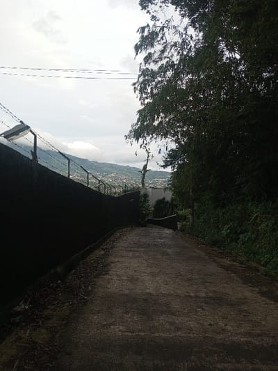 The image displays a concrete pathway leading uphill or around a bend, framed by contrasting elements. On the left, a tall, dark, plain wall topped with a barbed wire fence extends into the distance. Several streetlights are mounted along the top of this wall. Beyond the wall and fence, a sprawling town or cityscape is visible in the mid-ground, built into hills or mountains under a bright, overcast sky.
On the right side of the path, dense, dark green foliage and tall trees create a natural, somewhat wild border. The path itself appears a bit damp or textured, suggesting wear or recent moisture. The sky is largely cloudy but provides ample ambient light, indicating daytime, possibly an overcast morning or afternoon. Faint power lines stretch across the upper left sky.
There are no people or animals visible, and no specific activity is occurring, lending the scene a quiet, still atmosphere. The combination of urban development in the distance, a formidable boundary wall, and lush natural vegetation creates a dynamic setting, characteristic of a transitional zone in a hilly region like Gadog, Indonesia. No visible text is present in the image.