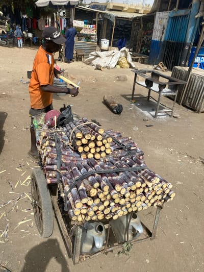The image depicts an outdoor market scene in Rijiyar Lemo, Nigeria, under bright daylight. In the foreground, a dark-skinned male individual, wearing an orange t-shirt, dark shorts, dark flip-flops, and a black baseball cap with white lettering ("4G-ELEG NIGHT"), stands next to a two-wheeled metal pushcart. He is actively peeling a segment of sugarcane with a small knife or peeler held in his right hand, while holding the sugarcane in his left hand. The cart is heavily laden with numerous bundles of purplish sugarcane stalks, cut into short segments exposing yellow-white ends, secured with black straps. A red bucket and black plastic bag rest on the cart near the individual, and two light-colored plastic jerrycans are visible underneath. Sugarcane peels are scattered on the sandy-brown dirt ground around the cart.
The background features several informal market stalls constructed from corrugated metal and other materials. One stall to the left displays various packaged goods. Another to the right has blue and white corrugated metal. An umbrella shelters part of a stall further left, where clothing hangs for sale. A motorcycle is parked on the far left. In the mid-ground, a white tarp covers a pile of produce, and a metal-framed stand or table stands nearby. A charred log lies on the ground to the right of the center. Other individuals, some blurred, are visible in the background, including one person in a blue robe. Shadows are short and distinct, consistent with a high sun angle.
