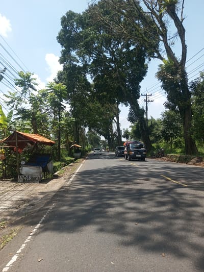 The image shows a paved road in a rural area, likely near Nawng Hkar, Myanmar. The road is straight and has a yellow center line. Several vehicles are present, including a truck and a car. On the left side of the road is a small roadside stall with a red awning. Trees line both sides of the road, casting shadows on the asphalt. Power lines run overhead. The sky is blue with some clouds.