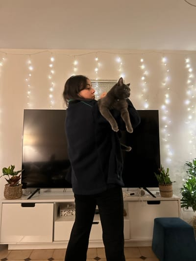 A woman holds a gray cat on her shoulder in a brightly lit room. The woman has dark hair and wears a dark blue jacket with a green collar. The cat sits comfortably, with its paws resting on her shoulders. Behind them is a large flat-screen television positioned above a white entertainment center with plants atop. The wall is adorned with string lights. The room also includes a blue ottoman and tiled flooring.