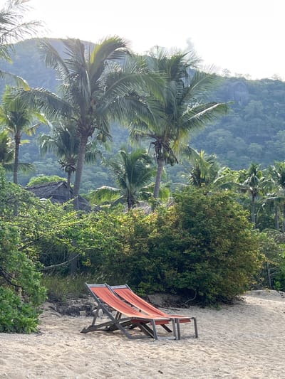 The image depicts an outdoor scene on a sandy beach, likely in the coastal region of Đông Ninh Hòa, Vietnam, characterized by lush tropical vegetation and palm trees. In the foreground, two empty, weathered orange canvas beach chairs are set up on the sand, angled slightly towards the viewer. The chairs are made of wood and canvas, appearing slightly worn. Behind the chairs, dense green foliage forms a natural backdrop, with some dry branches and vegetation visible on the ground.
Further back, several tall palm trees with coconuts are prominent, their fronds casting shadows. Among the trees, a traditional-looking dwelling with a thatched roof is partially visible, suggesting a resort or local residence. The middle ground is dominated by the tropical greenery and the structures. In the background, a misty, verdant mountainside rises, covered in dense trees and rocks. The sky above is bright and appears overcast or hazy, with the sun possibly behind clouds, creating a diffused light. The overall atmosphere is serene and suggestive of a tropical getaway. There are no people present in the image.