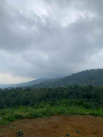 The image displays an expansive, static landscape view in Puncak, Indonesia, under an overcast sky. The upper approximately two-thirds of the frame are dominated by dense, uniformly grey stratus clouds, indicating heavy cloud cover with no direct sunlight visible. Below the cloud line, multiple layers of verdant, forested hills and mountains recede into the distance, appearing increasingly hazy with depth. The dominant vegetation is dark green, indicative of dense tree cover. Scattered, indistinct structures, likely buildings or houses, are faintly visible on the distant hillsides. A tall, thin structure, possibly a transmission tower, is discernible on one of the mid-distance forested peaks. The immediate foreground, comprising the bottom quarter of the image, consists of a patch of reddish-brown, disturbed earth. This area features sporadic growth of lighter green, low-lying vegetation and grasses, with several small saplings rooted in the dirt. No human figures, animals, or specific actions are depicted within the scene.
