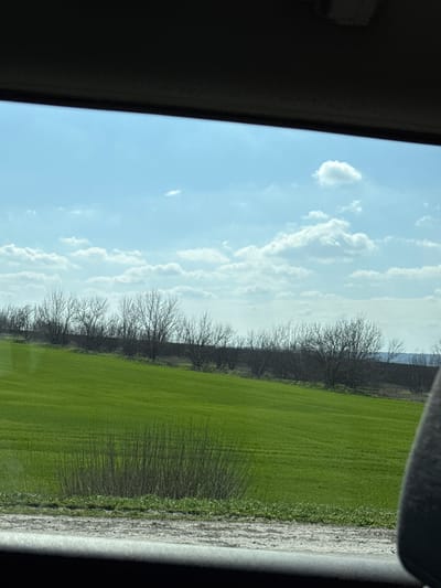 The image displays a rural landscape observed from within a vehicle, situated in Nadezhda, Russia. The upper and lower edges of the frame reveal dark, blurred interior components, consistent with a vehicle's ceiling and dashboard, respectively. A grey, fabric-covered object, likely a car seat or headrest, is partially visible on the far right. The external scene features a vast, vibrant green cultivated field, sloping gently upwards from the foreground towards the midground. A horizontal band of numerous leafless deciduous trees and shrubs runs across the midground, separating the field from a distant, indistinct horizon. Above the landscape, a light blue sky is visible, populated by scattered white cumulus clouds. In the immediate foreground, a narrow strip of ground composed of dirt and sparse green vegetation is present, along with a dense cluster of thin, dark, vertical plant stems emerging from the green field on the lower left. No individuals or active interactions are depicted.