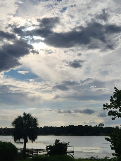 This is a vertical, medium-angle, full-shot photograph of a body of water, possibly a lake, on a cloudy day. The sky dominates the upper two-thirds of the frame with a dramatic display of dark gray and white clouds. Sunlight filters through gaps in the clouds, creating illuminated areas. The lower third of the image shows a calm body of water with a treeline in the distance. A silhouette of a palm tree stands prominently on the left side of the frame, near a wooden dock. The environment appears to be a natural landscape with some signs of human development, such as the dock and distant structures visible through the trees. The overall mood is serene and somewhat moody due to the cloud cover.