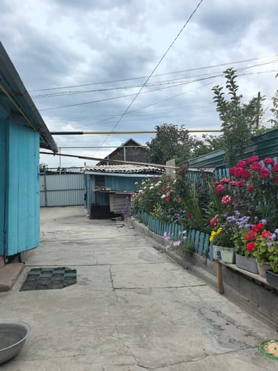 This is a vertical, eye-level, medium shot of a weathered, outdoor scene in a rural or suburban setting. The foreground is dominated by a cracked concrete walkway. To the left, a portion of a bright turquoise wooden structure, possibly a building or shed, is visible. A dark, checkered mat lies on the concrete near this structure. Further into the scene, a light blue wooden shed with a corrugated metal roof is visible. Behind this shed, a large, corrugated metal gate is closed.
Along the right side of the walkway, a vibrant flowerbed runs along a low, light blue wooden fence. The flowerbed is filled with a variety of blooming flowers, including red roses, pink petunias, yellow flowers, and clusters of small purple and blue blossoms. The flowers are in pots and also planted directly in the ground, some resting on a wooden shelf. Beyond the flowerbed and fence, the scene is bordered by lush green trees and foliage, with a dark green metal fence visible in the background.
Further in the distance, several buildings with dark, pitched roofs are visible, suggesting a village or residential area. Overhead, a network of power lines crisscrosses a cloudy sky. The clouds are heavy and grey, indicating overcast or possibly impending weather. The overall impression is one of a somewhat utilitarian but lived-in domestic space, with a splash of natural beauty provided by the flower garden. There is no text visible in the image, and no people are present. The lighting suggests it is daytime, likely late afternoon due to the diffused light.