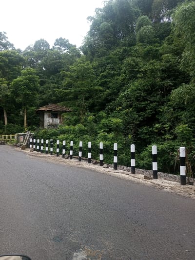 The image presents a scenic roadside view in Eheliyagoda, Sri Lanka, characterized by lush greenery under an overcast sky.
In the foreground, a dark asphalt road curves gently to the left. Along the right edge of the road, a series of black and white striped posts, resembling bollards or roadside markers, are uniformly spaced, forming a low barrier. These posts are set into a rough, light-colored concrete or gravel base.
The mid-ground features a small, rustic building partially obscured by dense vegetation, positioned uphill from the road on the left. The structure has a distinct, dark, possibly tiled roof and weathered light-colored walls with a dark rectangular opening that appears to be a window. To the left of this building, a small section of a yellow-painted railing or barrier is visible.
The background is dominated by a dense, verdant forest covering a steep hillside, with countless trees displaying various shades of green foliage, characteristic of a tropical environment. The sky above is light and overcast, indicating a cloudy daytime, which diffuses the light and highlights the rich greens of the vegetation.
There are no people or specific activities taking place, contributing to a tranquil and natural atmosphere. The scene evokes a sense of being on a journey through a rural, forested landscape. No visible text is present in the image.