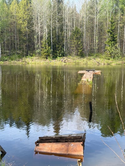 The image depicts a body of water, possibly a pond or lake, adjacent to a forested area. Several wooden structures, appearing to be rafts or platforms, are partially submerged in the water. The reflection of the trees in the water is distorted by ripples and surface movement. The forest consists of both deciduous trees with light-colored bark and evergreen trees. The location is assumed to be Ural'skoe, Russia. There are no people visible in the image.
