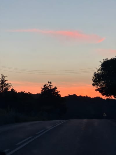 The image depicts a twilight scene on a road likely located in or near Slavyani, Bulgaria. The sky is a gradient of pale blue at the top transitioning to vibrant orange and pink hues near the horizon, indicating sunset or sunrise. A long, thin pink cloud is visible in the upper portion of the sky. Silhouetted against the colorful sky are dark masses of trees and vegetation forming a treeline. Power lines are strung horizontally across the mid-section of the sky. In the foreground, a dark asphalt road with white lane markings curves gently to the right. A triangular road sign, possibly indicating a curve, is visible on the right side of the road. The overall impression is one of a serene, rural landscape at dusk.