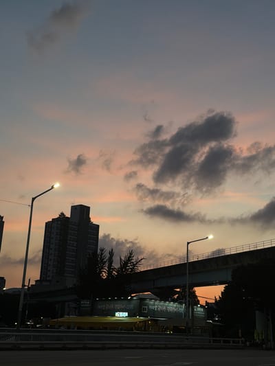 The image depicts an outdoor scene at dusk in Uijeongbu-si, South Korea. The sky is a gradient of soft orange and pink hues, with scattered dark clouds and a few faint specks of light that may be birds or distant aircraft. A street lamp with a bright light illuminates the foreground.
In the mid-ground, a tall, dark building with multiple windows stands to the left of a raised road or overpass structure, also dark. Silhouetted trees with pointed tops are visible between the building and the overpass. Below the overpass, a low-rise structure with a yellow awning is visible, displaying Korean text on its facade. The text appears to be signage for a business. A portion of the raised overpass, constructed with visible girders and a railing, stretches across the upper mid-ground.
The foreground shows a dark road surface, possibly a street or highway, with a concrete barrier or railing running horizontally. The overall impression is an urban environment at sunset, with infrastructure and signs of human activity. There are no discernible people in the image.