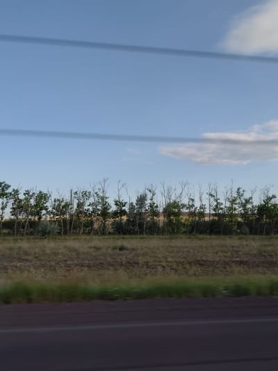 The image depicts a roadside view in Молодёжный, Kazakhstan. A line of trees with sparse green foliage and bare branches forms a boundary between a grassy field and the sky. The sky is a light blue, with a few scattered clouds and two horizontal lines, possibly power lines, visible in the upper portion. The foreground shows a blur of a dark road surface, indicating the image was taken from a moving vehicle. The overall scene is one of a rural or semi-rural landscape under a clear sky.