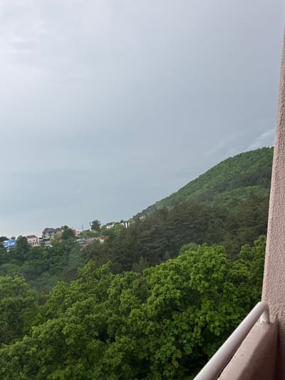 The image shows a view from an elevated position, likely a balcony or window, overlooking a densely vegetated hillside. The sky is overcast, suggesting a hazy or cloudy day. Buildings are visible nestled within the trees, indicating an urban or suburban area near the hillside. The view includes a section of railing. Given the request for location, the presence of these buildings suggests the hillside is somewhere in Sosnovy, Russia.