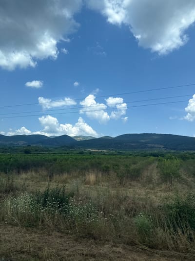 This image captures a serene landscape in Trapoklovo, Bulgaria. The sky is a vibrant blue, dotted with fluffy white clouds, some of which cast shadows on the scene below. In the foreground, a field of dry grass and wildflowers stretches towards a dense green forest. Beyond the forest, rolling hills rise, their slopes covered in trees. Power lines crisscross the sky, adding a touch of human infrastructure to the natural beauty. The overall impression is one of peacefulness and natural grandeur.
