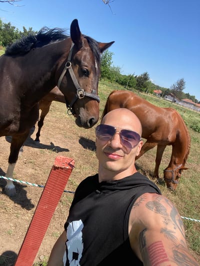 An outdoor, sunlit selfie taken in Slavovitsa, Bulgaria, features a bald man with a light complexion and prominent tattoos on his left arm, wearing purple-tinted aviator sunglasses and a black sleeveless top. He is smiling faintly at the camera. To his left, a dark brown horse with a black mane and a light grey halter looks towards the camera; visible flies are near its eye. Another chestnut-colored horse, wearing a brown halter, grazes in the background to the man's right. A third, dark-colored horse is partially visible behind the first horse. The ground consists of dry grass and dirt, with short shadows indicating bright midday sun. A red wooden post with horizontal grooves and a white and green striped rope, forming a barrier, is in the lower left foreground. In the background, green trees, utility poles, and several small buildings with red tiled roofs are visible under a clear, bright blue sky.