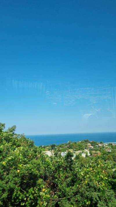 The image depicts a coastal landscape in Neos Panteleimonas, Greece. The foreground is dominated by lush green trees and foliage, suggesting a natural or garden setting. Beyond the trees, a body of deep blue water, likely the Aegean Sea, stretches towards the horizon. A scattering of houses with reddish-brown roofs is visible on a hillside overlooking the sea, characteristic of Mediterranean architecture. The sky above is a clear, bright blue, with faint reflections on the surface, indicating the photograph might have been taken through a window. No people or specific actions are identifiable in the scene. The overall impression is one of a tranquil, scenic view of the Greek coast on a sunny day.