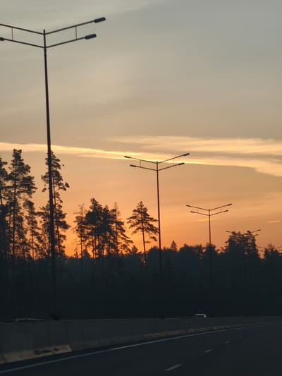An overcast sky with streaks of orange and yellow is visible above a silhouetted treeline of pine trees. Several tall streetlights with double fixtures are scattered across the scene, with the closest one dominating the left side of the frame. A concrete barrier runs along the bottom of the image, separating a dark asphalt road with white lane markings. A white car is partially visible behind the barrier in the distance. The image appears to have been taken at dusk or dawn, likely from a vehicle on a highway near Noginsk, Russia, given the presence of streetlights and a highway barrier.