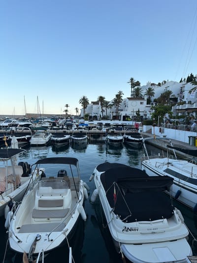 The image depicts a marina with numerous boats docked along a waterfront promenade. The boats are of various sizes and types, including speedboats and sailboats, with many covered by black tarpaulins. In the background, there is a row of white buildings with red-tiled roofs, characteristic of Mediterranean architecture, interspersed with palm trees. Some people are visible sitting at outdoor tables of a restaurant or cafe along the promenade. The sky is clear and blue, suggesting fair weather. The scene is set in the city of Almuñécar, Spain, a coastal town known for its marinas and architecture.