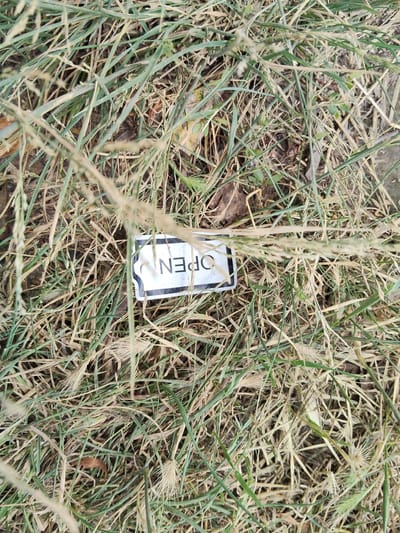 This media file captures a close-up view of a small, rectangular sign lying amongst dry grass and some green foliage. The sign has a white background with black text. The text is in all capital letters and reads "OPEN" but it is oriented upside down. The grass appears to be on the ground, suggesting an outdoor setting, possibly a yard or a field. The lighting suggests it is daytime, but the weather cannot be determined. There are no people or animals visible in the image. The overall scene is one of nature with a man-made object intruding. The location context is Bilyaivka, Ukraine.