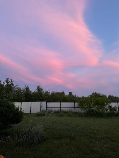 The image depicts a landscape scene at dusk, likely in Emel'yanovo, Russia, given the context. The sky is dominated by soft, wispy clouds tinged with shades of pink and purple, indicating the twilight hours. A portion of a metallic fence runs horizontally across the frame, separating a grassy area from a line of trees and foliage. The grass is green and appears somewhat overgrown, with occasional white seed heads of dandelions visible. The trees are lush and full, suggesting a summer or late spring evening. The overall mood is serene and tranquil, characteristic of a peaceful sunset. No people or specific objects of interest beyond the natural elements and the fence are apparent. The lighting suggests the sun has recently set, casting a gentle glow across the sky and landscape.