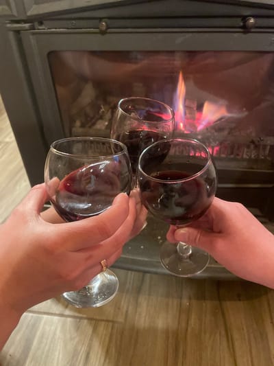 In Palež, Montenegro, three hands are positioned in the foreground, each holding a clear, stemmed wine glass filled with a dark red liquid. The glasses are tilted inwards, with their rims touching, indicating a toast. The hand on the left wears a gold-colored ring on the fourth finger. In the background, a dark metallic wood-burning fireplace or stove with a clear glass front is visible, containing an active fire with prominent orange, red, and blue flames and glowing embers. The floor beneath the glasses appears to be light-colored wooden or laminate material.