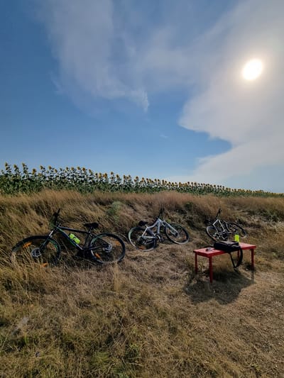 The image depicts a scene of leisure and outdoor activity in Slivnitsa, Bulgaria. The primary subjects are three bicycles placed on dry, grassy terrain adjacent to a field of sunflowers. One bicycle is positioned on a red picnic table, accompanied by a black backpack and a yellow water bottle. The other two bicycles are lying on the ground. The setting is a rural landscape, likely a field or meadow, with a distinct row of sunflowers stretching into the distance.
The time of day appears to be late morning or early afternoon, indicated by the bright sun high in the sky, casting a gentle haze. The weather seems to be clear and sunny, contributing to the dry appearance of the vegetation. The composition of the image, with the sunflowers and the vast sky, suggests a peaceful and potentially warm day.
There is no visible text within the image. The overall impression is one of a break during an outdoor excursion, perhaps a cycling trip through the Bulgarian countryside. The scene evokes a sense of calm and enjoyment of nature.