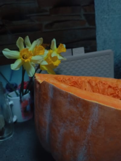 The image displays an indoor scene within Kurganinsk, Russia. A large orange pumpkin, cut lengthwise, dominates the lower right and central frame, exposing its fibrous, orange internal pulp. The pumpkin's exterior skin is a muted orange-brown with visible lighter-colored surface deposits. To the left of the pumpkin, a bouquet of several yellow and white daffodils, featuring distinct yellow central coronas, is arranged in a light-colored, cylindrical mug-like vessel. The background is out of focus and comprises a dark, brick-patterned wall or surface in the upper left quadrant. A light-colored object with a textured, possibly woven, pattern is visible behind the pumpkin to the right. A vertical, plain grey structural element appears on the far right edge of the frame. A blurred blue-toned surface is discernible behind the floral arrangement. No human subjects are present, and no actions are depicted. The scene is static and illuminated by low ambient light.