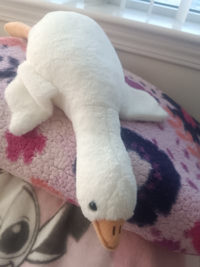 The image shows a white plush goose toy lying on top of a pink blanket with a floral pattern and a cartoon character print. The goose is positioned with its head facing downwards towards the viewer, with its beak pointing slightly to the right. Its body is curved, and its wings are tucked in. The background shows a window with white blinds and a wall. There are no visible landmarks or elements that would allow for the identification of a specific location within Mississauga, Canada.