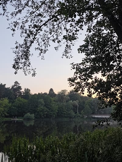 A twilight landscape photograph in Kratovo, Russia, presents a panoramic view across a placid body of water, likely a lake or pond, at either dawn or dusk. The foreground is dominated by dense, dark green aquatic grasses and reeds rising from the water's edge. Above, dark, silhouetted tree branches with numerous small leaves extend from the top left and right, partially framing the sky. The calm, dark water reflects the opposite bank's vegetation and the subtly illuminated sky. On the far bank, two human figures, indistinct and appearing in dark clothing, stand near the water's edge with their reflections visible beneath them. The midground and background are characterized by a dense, dark green forest of mixed deciduous and coniferous trees lining the distant shore. A white utility pole rises above the treeline slightly to the left of the center. To the right, a white bridge with a visible green railing can be partially seen spanning a section of the water or land through the foliage. The sky transitions from a light blue at the zenith to a pale orange-yellow hue near the horizon, most notably behind the trees on the right side.