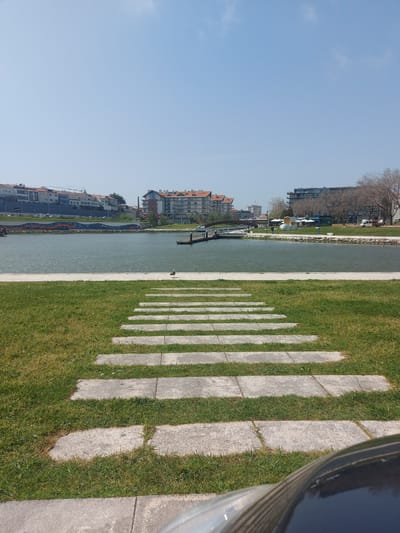 The image shows a waterfront area in Aveiro, Portugal, featuring a walkway with alternating concrete slabs and grassy areas. The waterway is visible to the left of the walkway, with buildings lining the opposite bank. The sky is clear and blue. A seagull is standing by the water's edge. A structure of blue and orange tiles runs parallel to the waterfront along the waterway.
