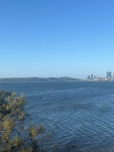 The image displays a panoramic view of the Swan River from Applecross, Australia, under a clear, cloudless blue sky, which occupies the upper half of the frame. The middle and lower-middle sections are dominated by a wide expanse of dark blue water, exhibiting minor surface ripples. A single small, round yellow buoy floats in the water in the mid-ground, positioned slightly to the left of the central vertical axis. Across the distant water, a forested landmass with a dense tree line extends from the left horizon, transitioning into the distinct skyline of Perth city on the right, characterized by numerous modern high-rise buildings and skyscrapers. The lower-left corner of the foreground shows the partial branches and green foliage of a shrub. No people, active subjects, or specific interactions are visible.