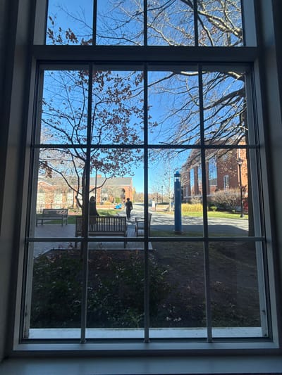 A view through a multi-paned window captures a park scene. Bare trees reach into a clear blue sky, contrasting with the brick buildings beyond. In the middle ground, a blue pillar stands near a walkway. Benches are scattered across a patio area, where at least two people stand near a bench. The foreground is a blur of greenery and shade. The scene is bathed in sunlight, giving a crisp, clear view from inside.