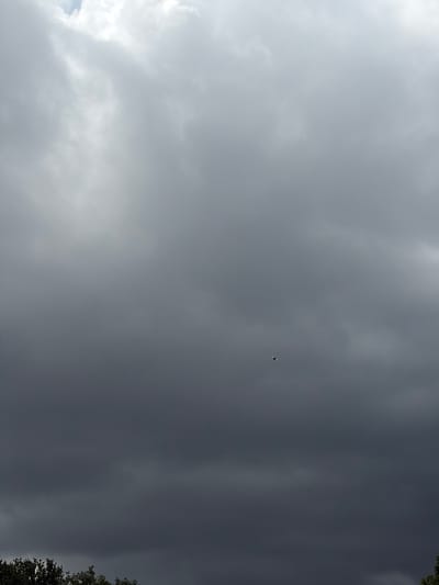 A distant view of a bird in flight against a cloudy sky. The bird is small and dark, appearing as a speck against the lighter clouds. The sky is filled with a variety of cloud formations, ranging from bright white to dark gray, suggesting an overcast or stormy day. The lower portion of the image shows the tops of dark green trees, indicating a natural or park-like setting. The image is likely taken from a ground-level perspective looking upwards.