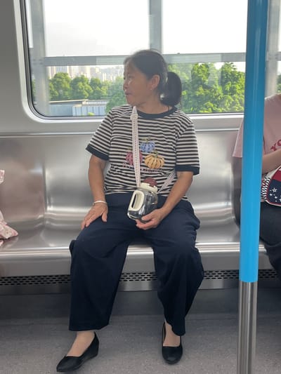 An East Asian woman sits on a stainless steel bench inside a subway car, her body angled towards the left side of the frame. She wears a black and white striped t-shirt with a pumpkin graphic and navy blue wide-leg pants. A white strap with a patterned design is slung across her chest, holding a clear plastic bottle with a brown lid in her left hand. A silver bracelet adorns her left wrist. Her black pointed-toe wedge heels are visible. The background shows a window with a blurred view of trees and buildings, suggesting an urban environment, likely in Shuangfu, China, given the context. A blue pole stands vertically to the right of the woman. The lighting is natural, coming from the window.