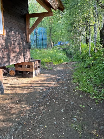 The image depicts a rustic outdoor scene, possibly in or near Bol'shaya Rechka, Russia, characterized by a wooden structure, a dirt path, and abundant greenery. In the foreground, a dark-stained wooden cabin is partially visible on the left, with a visible window frame on its left side. Supporting the cabin's overhang is a triangular wooden brace. In front of the cabin, a makeshift bench constructed from wooden planks and pallets rests on the ground. The ground itself is a mixture of dirt and small stones, with fallen leaves scattered across it. Sunlight casts dappled shadows on the path, indicating it is daytime.

The path leads into a densely wooded area, with tall trees and lush green foliage dominating the background. The trees appear to be a mix of deciduous types, with some exhibiting white bark, possibly birch trees. In the mid-ground, a turquoise corrugated metal fence is visible behind the cabin, partially obscured by trees and vegetation. Further back, a blue tarp is also visible, suggesting some form of temporary shelter or covering. A narrow, overgrown waterway or ditch appears to run through the wooded area, crossed by a simple wooden bridge in the distance. The overall impression is one of a natural, somewhat untamed environment, possibly a rural or semi-rural setting. There are no people or animals visible in the image.